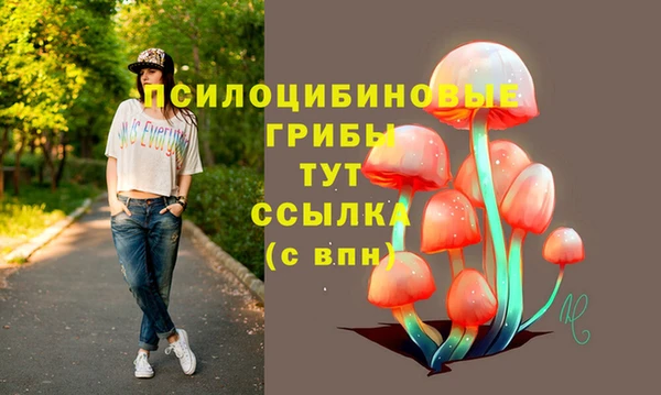 скорость Арсеньев