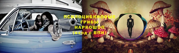 круглые Аркадак