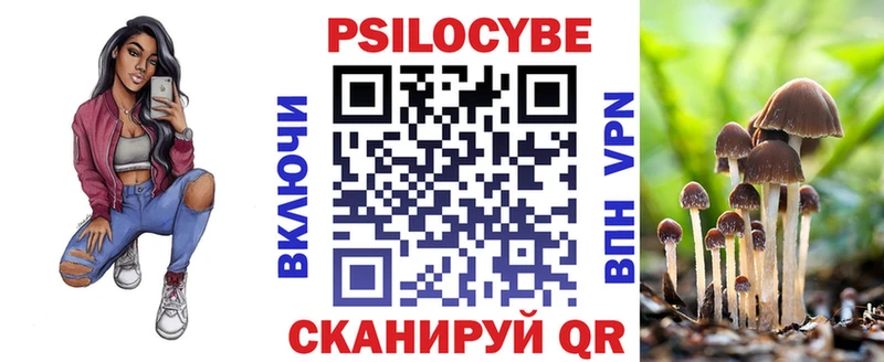купить наркоту  kraken как войти  Псилоцибиновые грибы Cubensis  Гвардейск 
