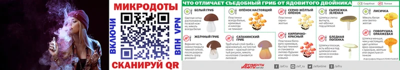 Галлюциногенные грибы Magic Shrooms Гвардейск
